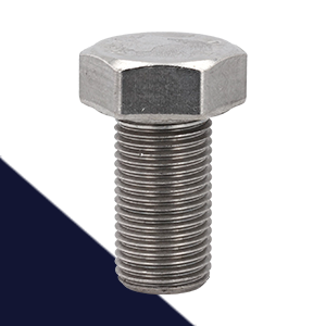 Hex Bolts Stainless