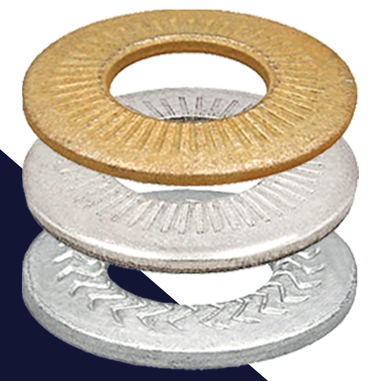 Bellevilles + Disc Springs