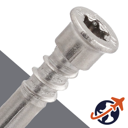 Torx Flat Cylinder Socket Head