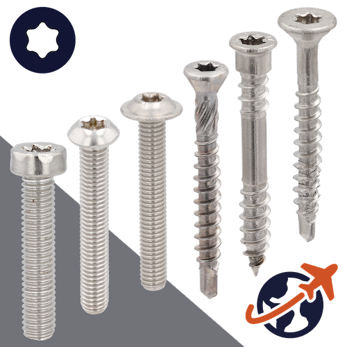 Torx Socket Head