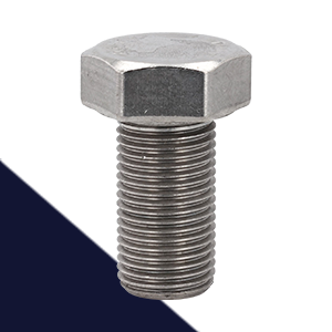 Hex Bolts Stainless