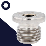 British Flanged Allen Plug,Stainless Steel,DIN 908 BSPP