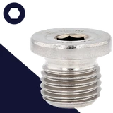 British Flanged Allen Plug,Stainless Steel,DIN 908 BSPP