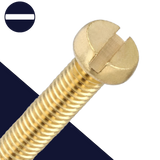 M5 Slotted Cheese Head,Corrosion Resistant Brass,DIN 84