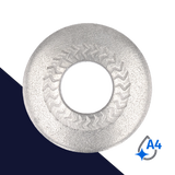 Belleville Washer Large O.D. - A2 Stainless "Z" Pattern Form L