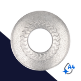 Belleville Washer Large O.D. - A2 Stainless "Z" Pattern Form L