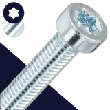 M8 Low Torx Socket,Steel Class 8.8 Zinc,DIN 7984 TX-40
