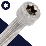 M8X1.25 Torx Socket Head - A2 Stainless ISO 14579