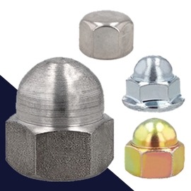 Acorn + Cap Nuts
