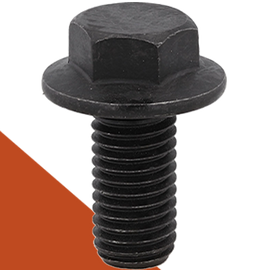 Black Stainless Bolts