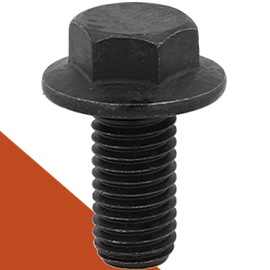 Black Stainless Bolts