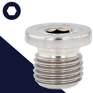 British Flanged Allen Plug,Stainless Steel,DIN 908 BSPP