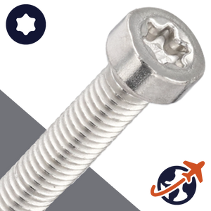 M3X0.5 Torx Low Socket Head Screw - A2 Stainless ISO 14580