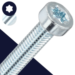 M8 Low Torx Socket,Steel Class 8.8 Zinc,DIN 7984 TX-40