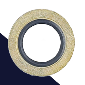 Gasket / Sealing Ring Combination