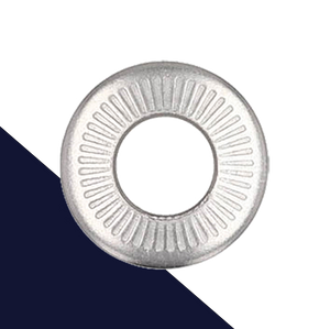 Belleville Washer - A2 Stainless NFE 25-511 Form M Belleville Washer - A2 Stainless NFE 25-511 Form M