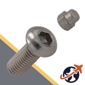 M6 Socket Head Screw + Security Plug, Stainless
