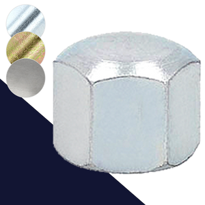 Fine Thread Class 6 Steel DIN 917 Cap Nut
