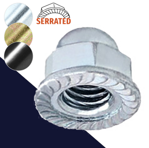 Acorn Nut Flange, Serrated Low Carbon Steel Zinc Special Acorn Nut Flange, Serrated Low Carbon Steel Zinc Special