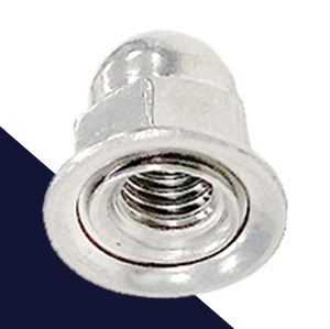 Acorn Nut Spin Stainless Special