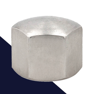 Hex Cap Nut - A2 Stainless DIN 917