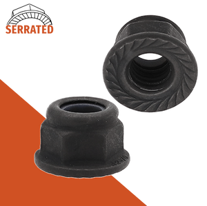 Coarse DIN 6926 Nylon Flange,A2 Stainless + Black Oxide,Serrated Bottom Nut