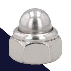 Nylon Insert Acorn Nut,Stainless Steel,DIN 986 Locking