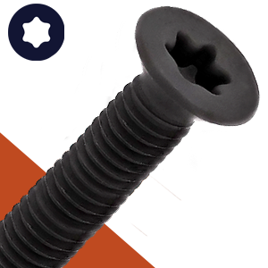 M8 Torx Flat Head,Stainless + Black Oxide,ISO 14581