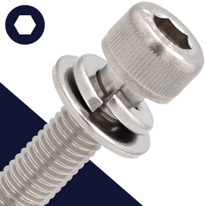 M6X1.0 SEMS Socket Head,Stainless Steel,Flat + Lock Washer