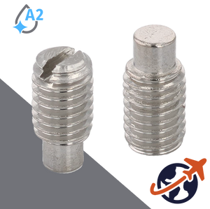 M5X0.8 Slotted Dog Point Set Screw - A2 Stainless DIN 417