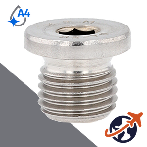 Flanged Allen Socket Plug,DIN 908,A4 Stainless Steel