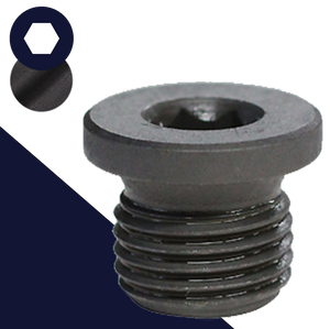British Flanged Allen Plug,Steel, Plain Uncoated,DIN 908 BSPP