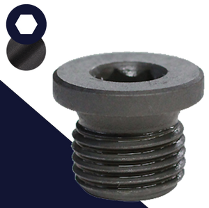 British Flanged Allen Plug,Steel, Plain Uncoated,DIN 908 BSPP