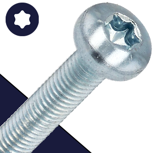 M5X0.8 Torx Pan Head Screw - Steel ISO 14583
