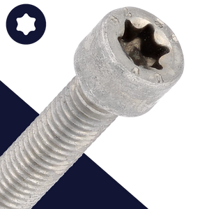 M3X0.5 Torx Socket Head - A2 Stainless ISO 14579