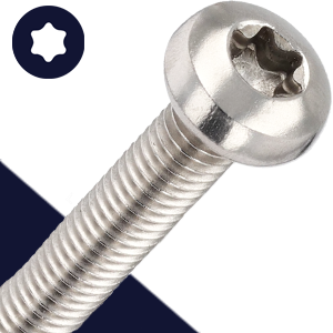 M4X0.7 Torx Pan Head,Stainless Steel A2,ISO 14583