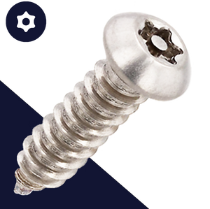 M4.8 Button Head Torx + Pin,Stainless Steel A2,Self-Tapping Security Screw