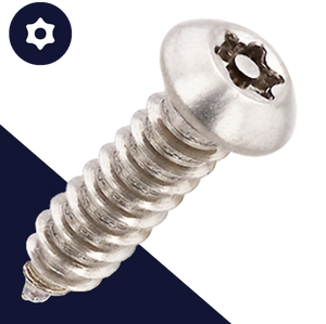 M5.5 Button Head Torx + Pin,Stainless Steel A2,Self-Tapping Security Screw