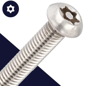 M6 Button Head Torx + Pin,Stainless Steel A2,Security Screw