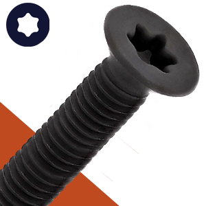 M6 Torx Flat Head,Stainless + Black Oxide,ISO 14581