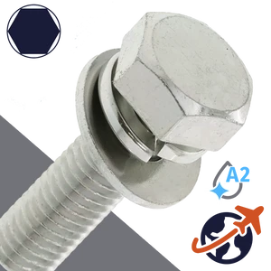 M10X1.5 Hex Head SEMS,LW + Flat Washer OD: 22mm,Stainless