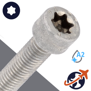 M2.5X0.45 Torx Socket Head - A2-70 Stainless ISO 14579