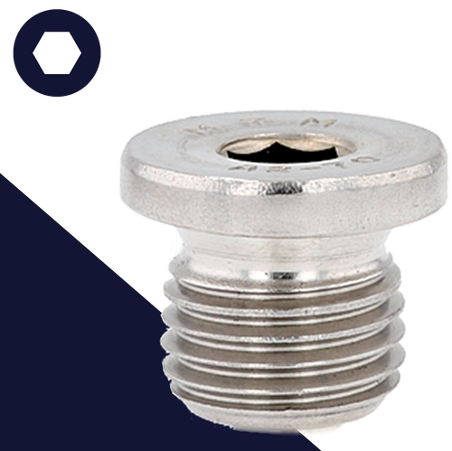 Flanged Allen Socket Plug,Stainless Steel,DIN 908