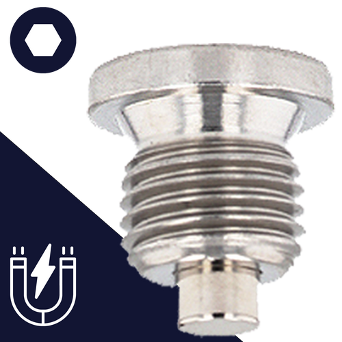 Flanged Allen Magnetic,Stainless Steel Plug,DIN 908