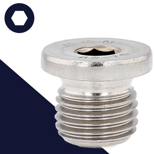 Stainless Flanged Allen BSPP British Parallel Plug DIN 908