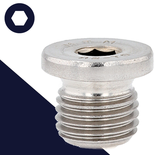 British Flanged Allen Plug,Stainless Steel,DIN 908 BSPP