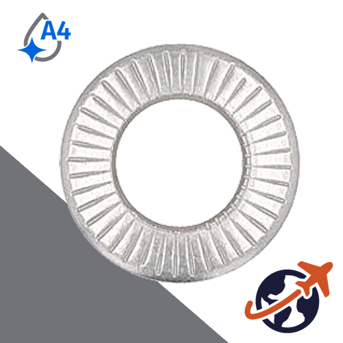 Belleville Washer Small,A4 Stainless Steel,NFE 25-511 'S'