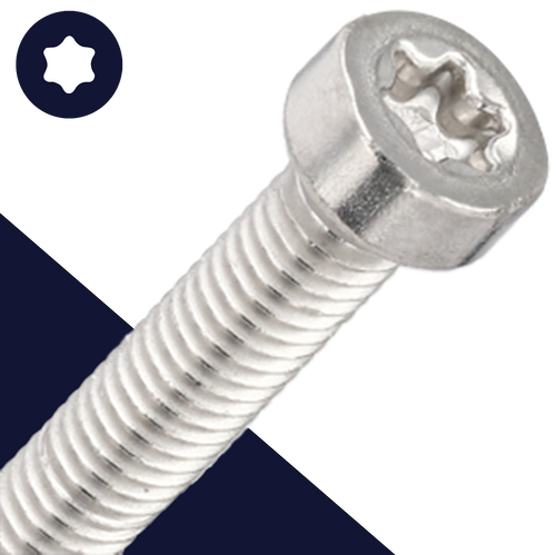 M8X1.25 Torx Low Socket Head Screw - A2 Stainless ISO 14580