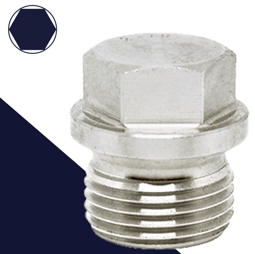 British Flanged Hex Plug,Stainless Steel,DIN 910 BSPP
