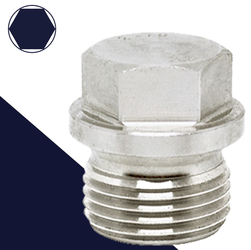 British Flanged Hex Plug,Stainless Steel,DIN 910 BSPP